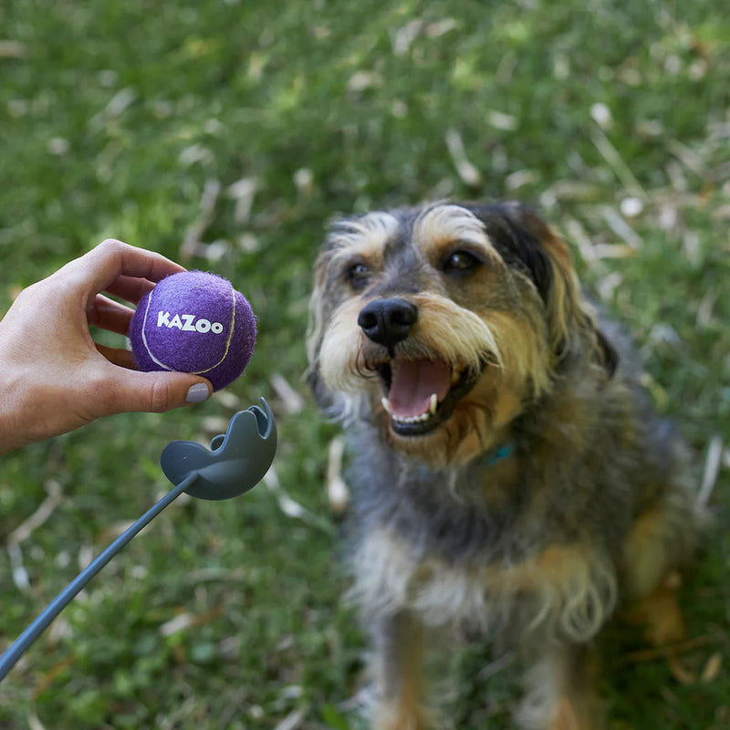 Kazoo Eco Friendly Ball Thrower Dog Toy Small ^._.^