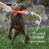 Kazoo Extreme Play Chew Stick Dog Toy Large