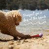 Kazoo Extreme Play Chew Stick Dog Toy Large ^._.^