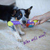 Kazoo Extreme Play Chew Stick Dog Toy Medium (+_+)