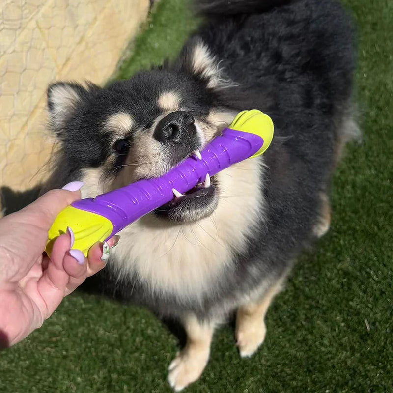 Kazoo Extreme Play Chew Stick Dog Toy Medium (+_+)