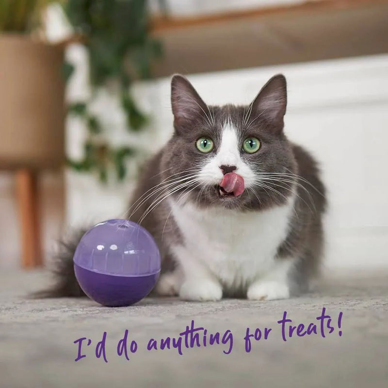 Kazoo Interactive Treat Dispensing Ball Cat Toy