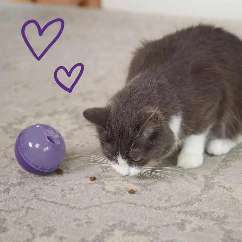 Kazoo Interactive Treat Dispensing Ball Cat Toy