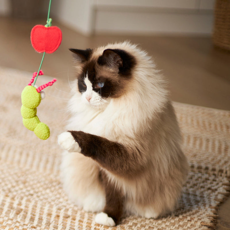 Kazoo Munchy Caterpillar Wand Cat Toy ^._.^