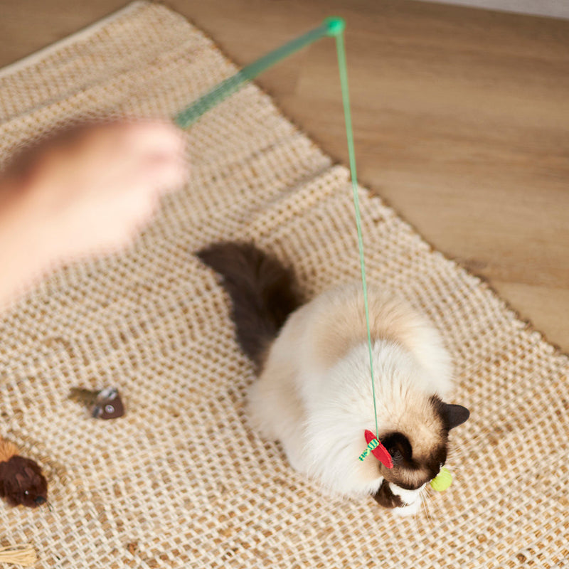 Kazoo Munchy Caterpillar Wand Cat Toy ^._.^