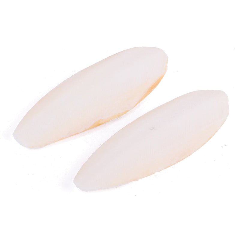 Kazoo Natural Cuttlebones Medium 2 Pack-Habitat Pet Supplies