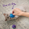 Kazoo Pom Pom Ball Cat Toy ^._.^