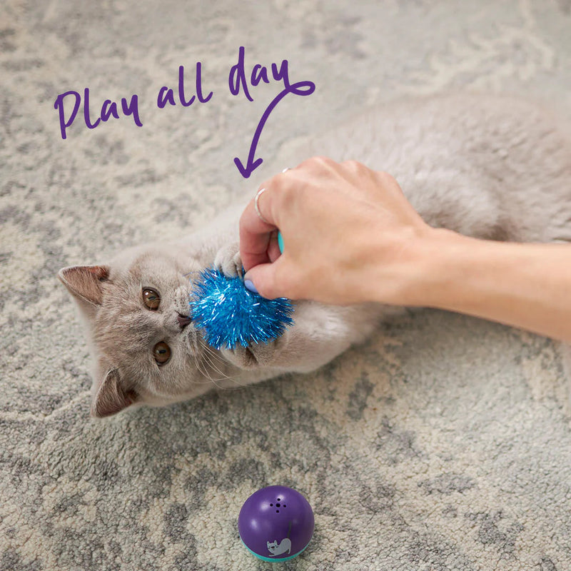 Kazoo Pom Pom Ball Cat Toy ^._.^