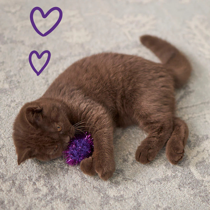 Kazoo Pom Pom Ball Cat Toy ^._.^