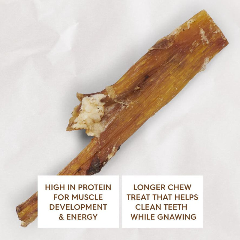 Kazoo Prime Cuts Beef Paddywack Dog Treat