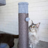 Kazoo Scratching Post Ash Plush Medium