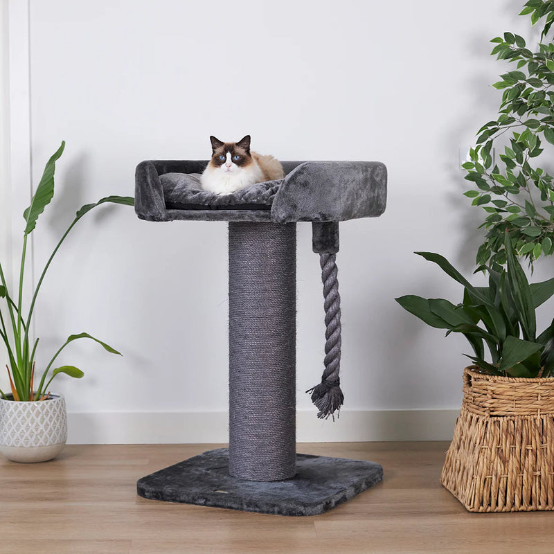 Kazoo Scratching Post High Bed wth Rope Charcoal