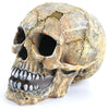 Kazoo Skull Large Fish Tank Ornament-Habitat Pet Supplies