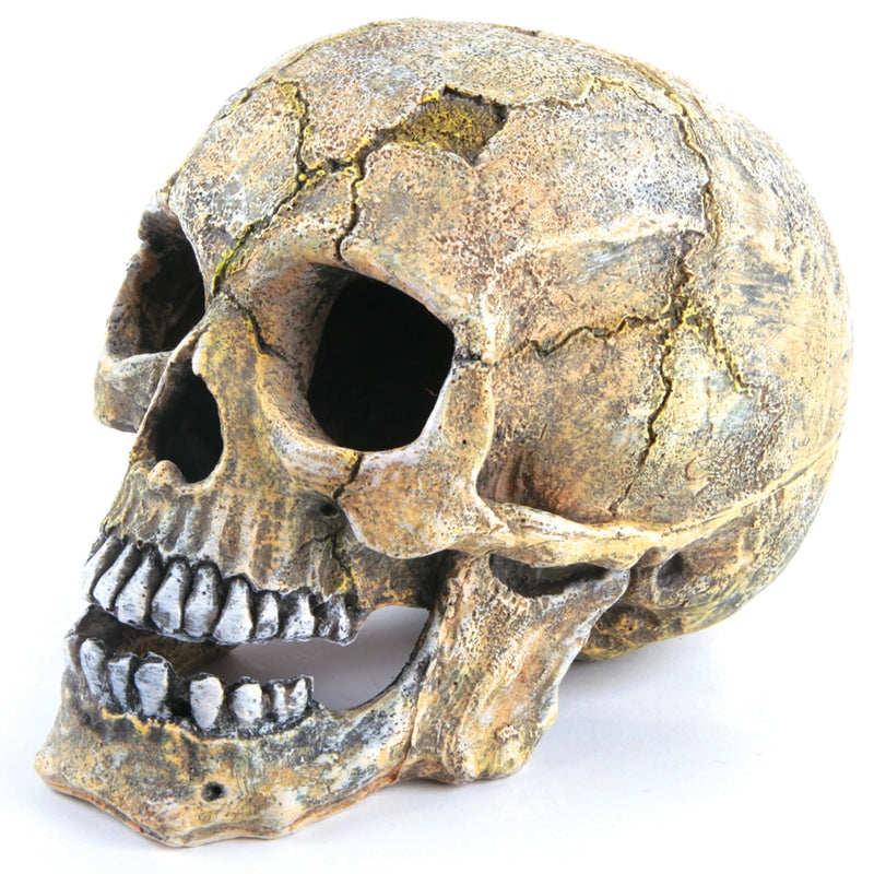 Kazoo Skull Large Fish Tank Ornament-Habitat Pet Supplies