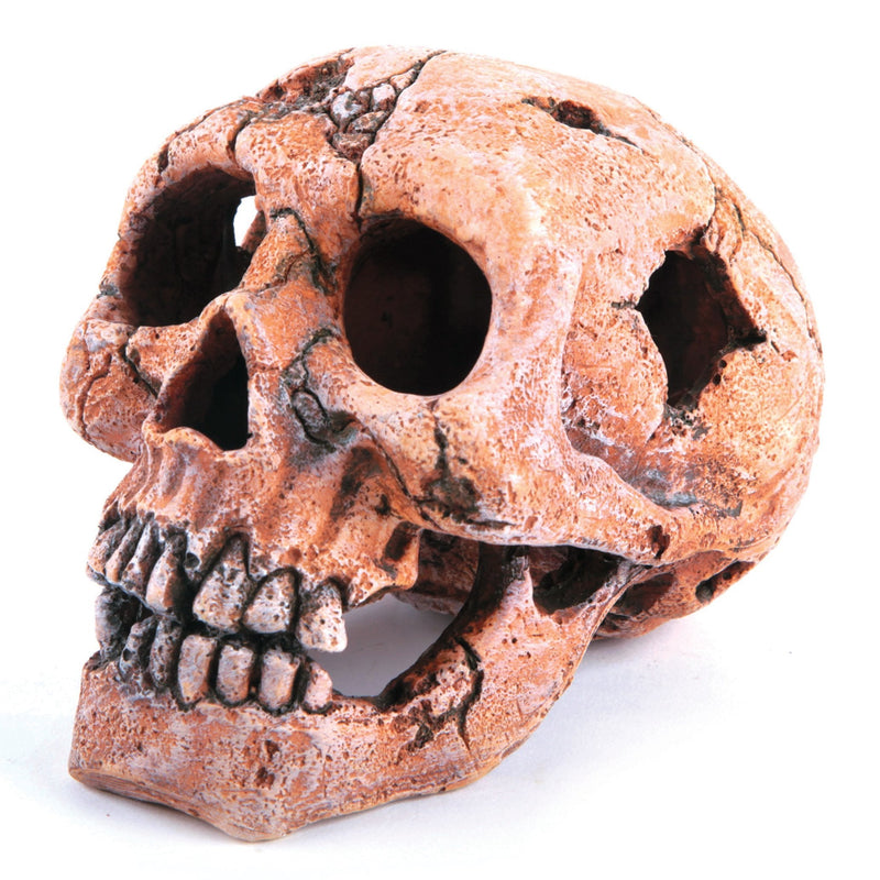 Kazoo Skull Medium Fish Tank Ornament-Habitat Pet Supplies