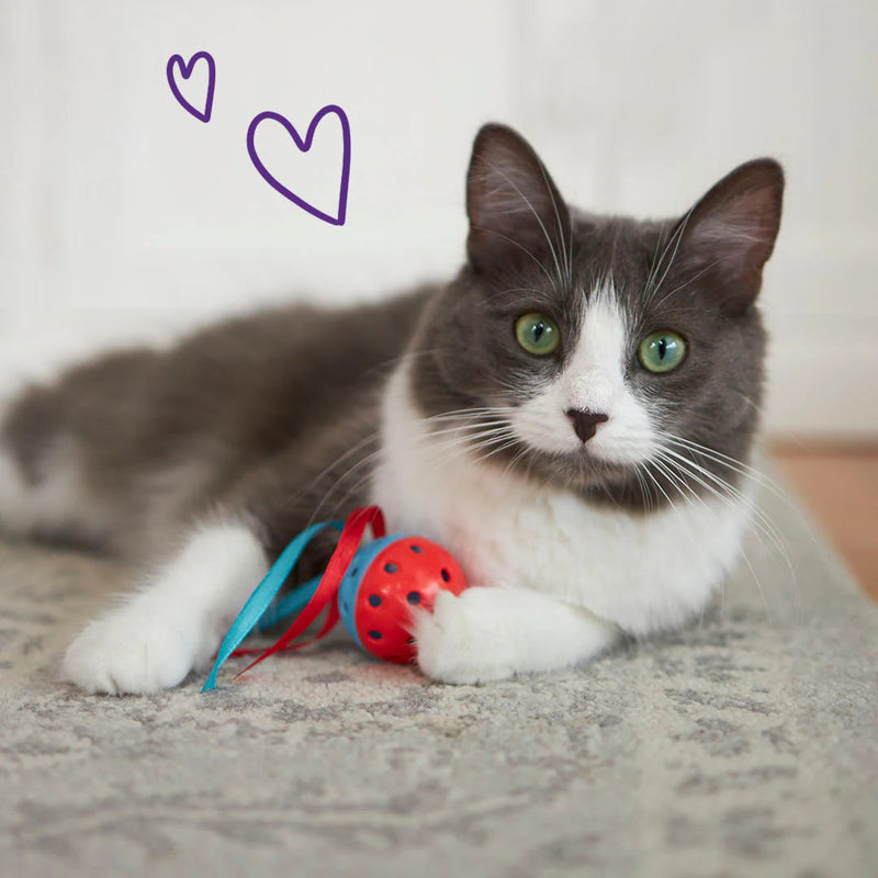 Kazoo Streamer Ball Cat Toy