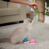 Kazoo Wicker Ball Cat Toy ^._.^