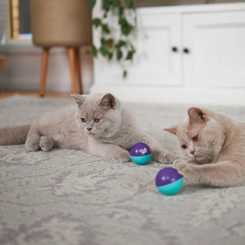 Kazoo Wobble Ball Cat Toy ^._.^