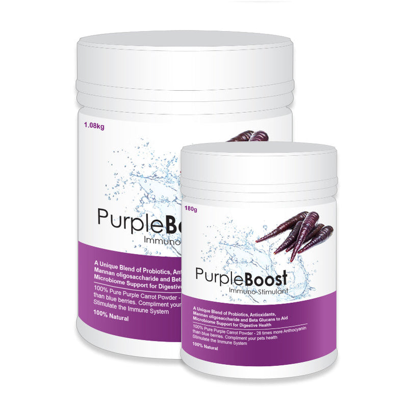 LifeWise Purple Boost Gut Microbiome and Immune System Support Supplement for Dogs 180g-Habitat Pet Supplies