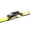 Max & Molly Kiwi Smart ID Dog Collar Large***
