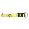 Max & Molly Kiwi Smart ID Dog Collar Medium***