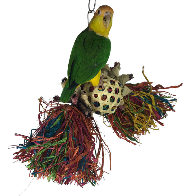 Ninos Java Afro Drum Foraging Toy for Birds-Habitat Pet Supplies