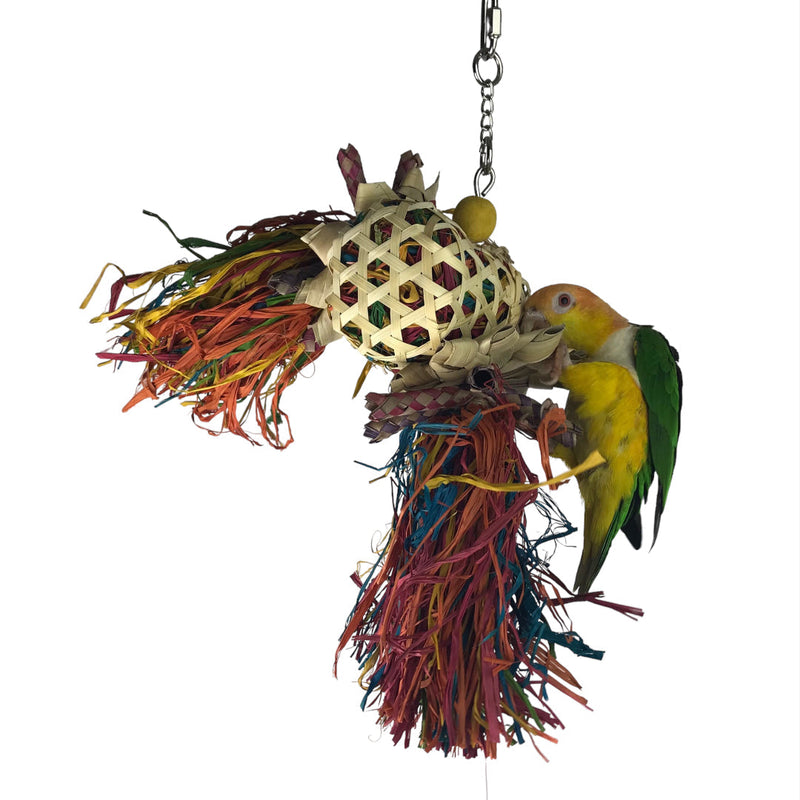 Ninos Java Afro Drum Foraging Toy for Birds