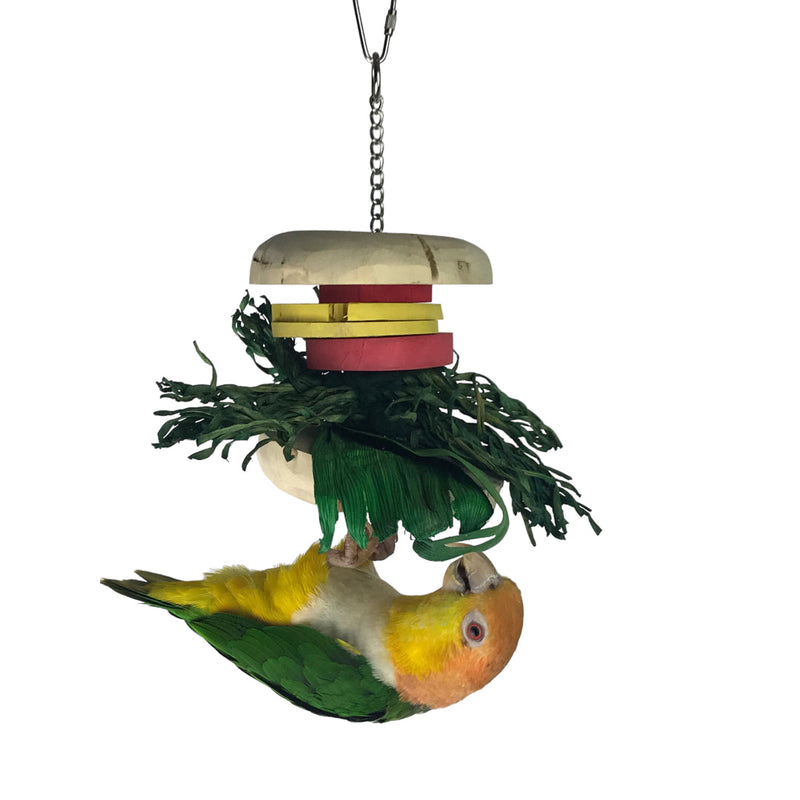 Ninos Java Burger Toy for Birds