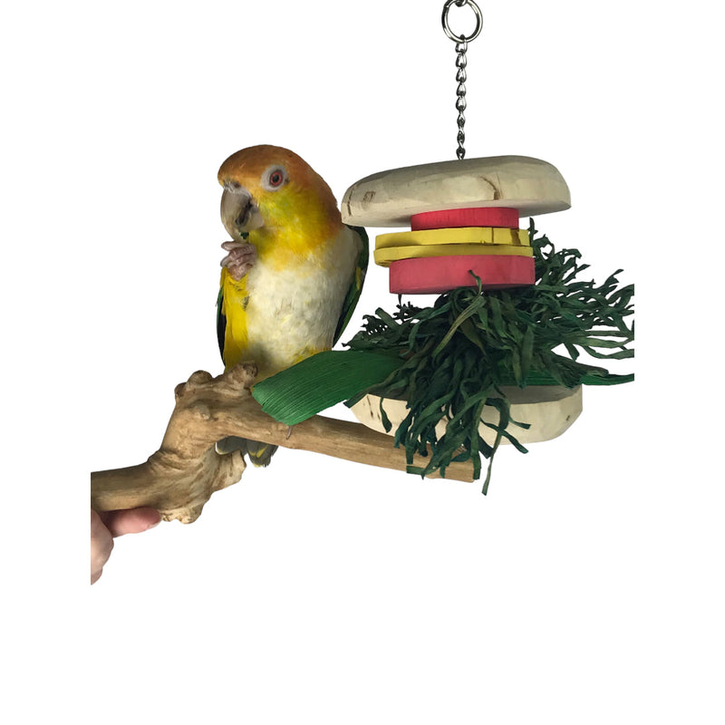 Ninos Java Burger Toy for Birds