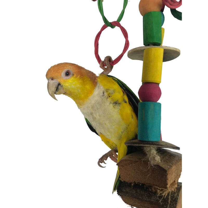 Ninos Java Chain Reaction Toy for Birds