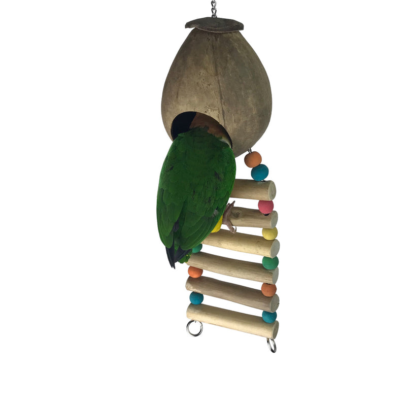 Ninos Java Coco Ladder Nest for Birds – Habitat Pet Supplies