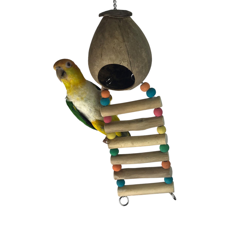 Ninos Java Coco Ladder Nest for Birds – Habitat Pet Supplies
