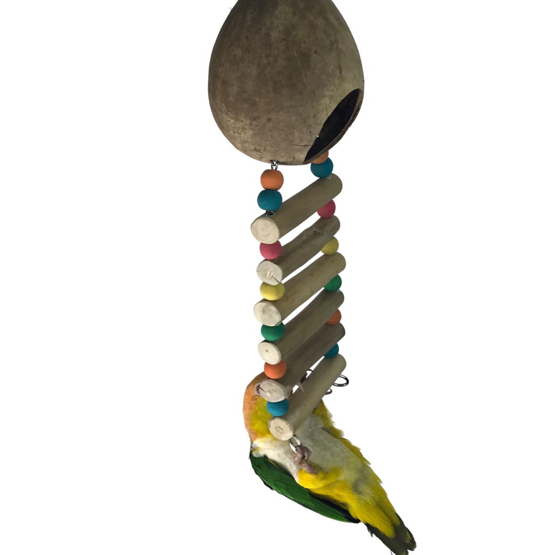 Ninos Java Coco Ladder Nest for Birds – Habitat Pet Supplies