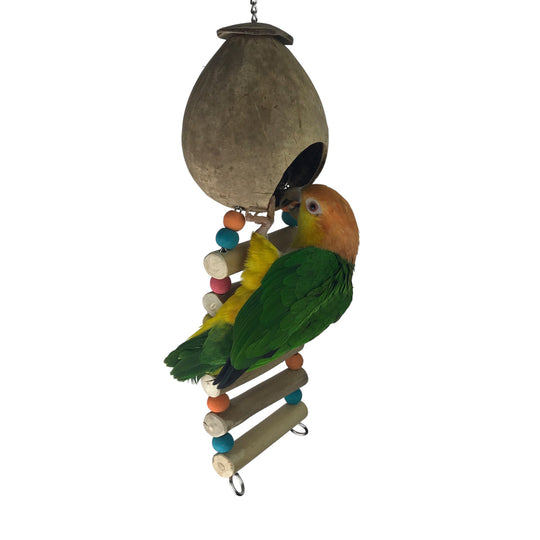 Ninos Java Coco Ladder Nest for Birds