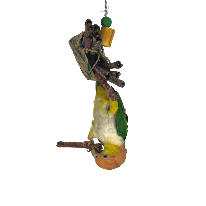 Ninos Java Foot Toy Fries for Birds