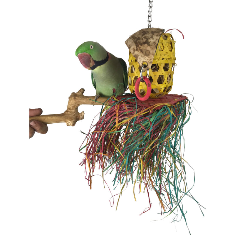 Ninos Java Hula Girl Shredding Toy for Birds