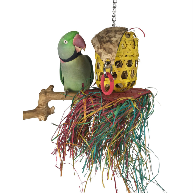 Ninos Java Hula Girl Shredding Toy for Birds