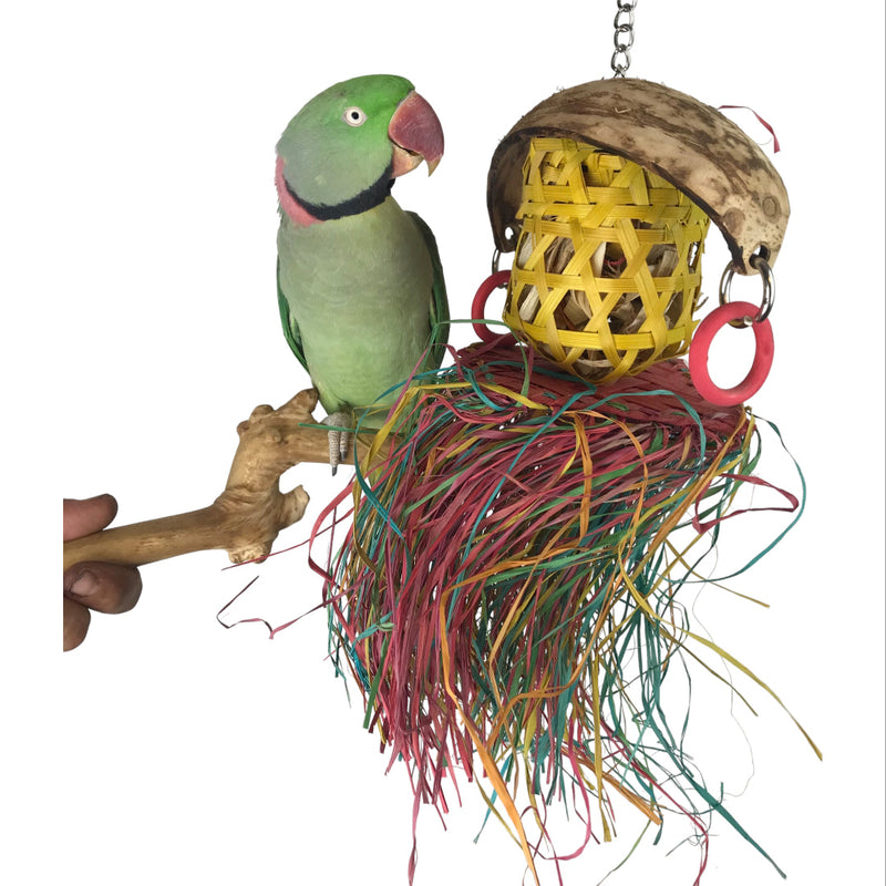 Ninos Java Hula Girl Shredding Toy for Birds