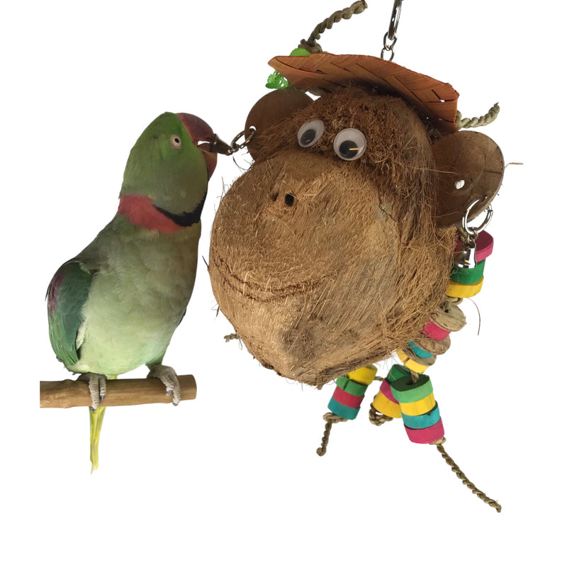 Ninos Java Miss Monkey Toy for Birds