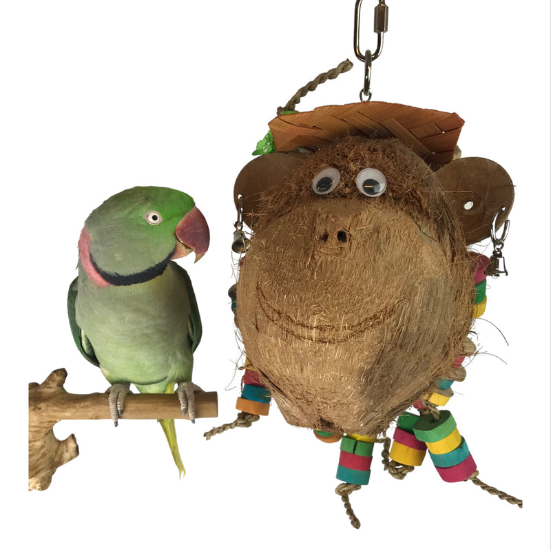 Ninos Java Miss Monkey Toy for Birds-Habitat Pet Supplies
