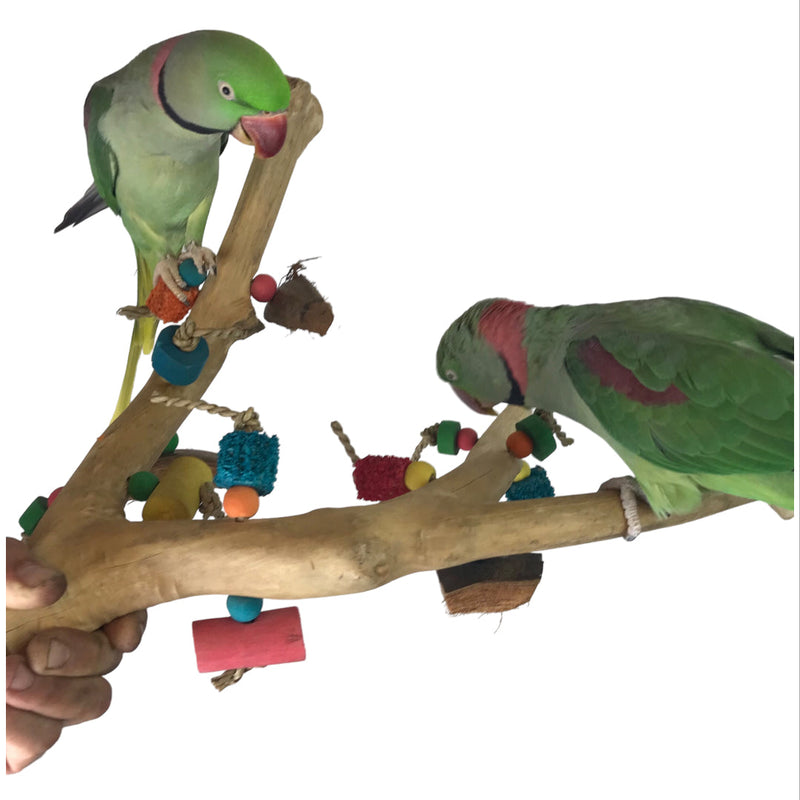 Ninos Java Multi Branch Perch with Toys for Birds Medium