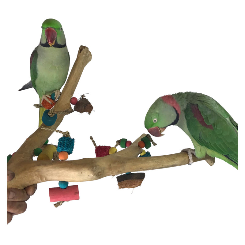 Ninos Java Multi Branch Perch with Toys for Birds Medium