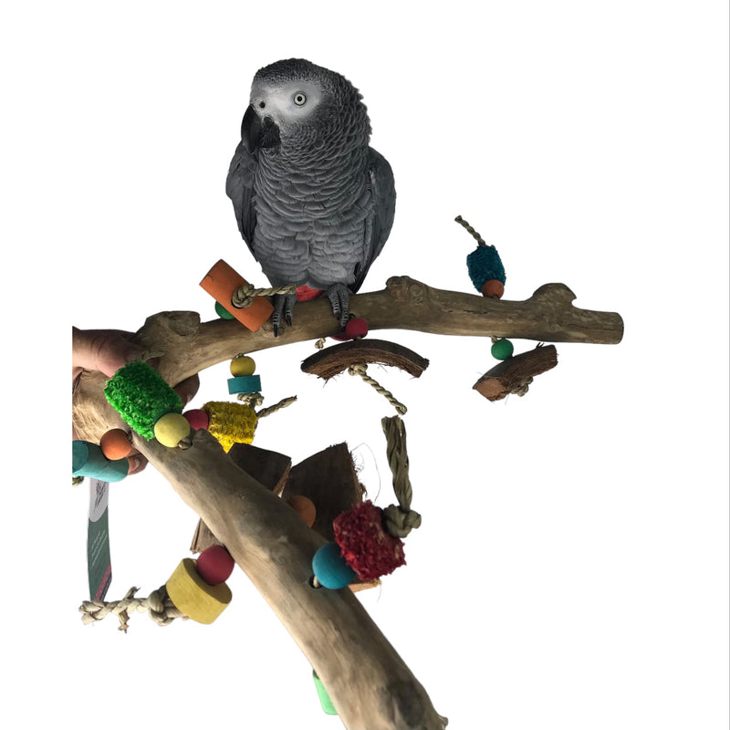 Ninos Java Multi Branch Perch with Toys for Birds Medium