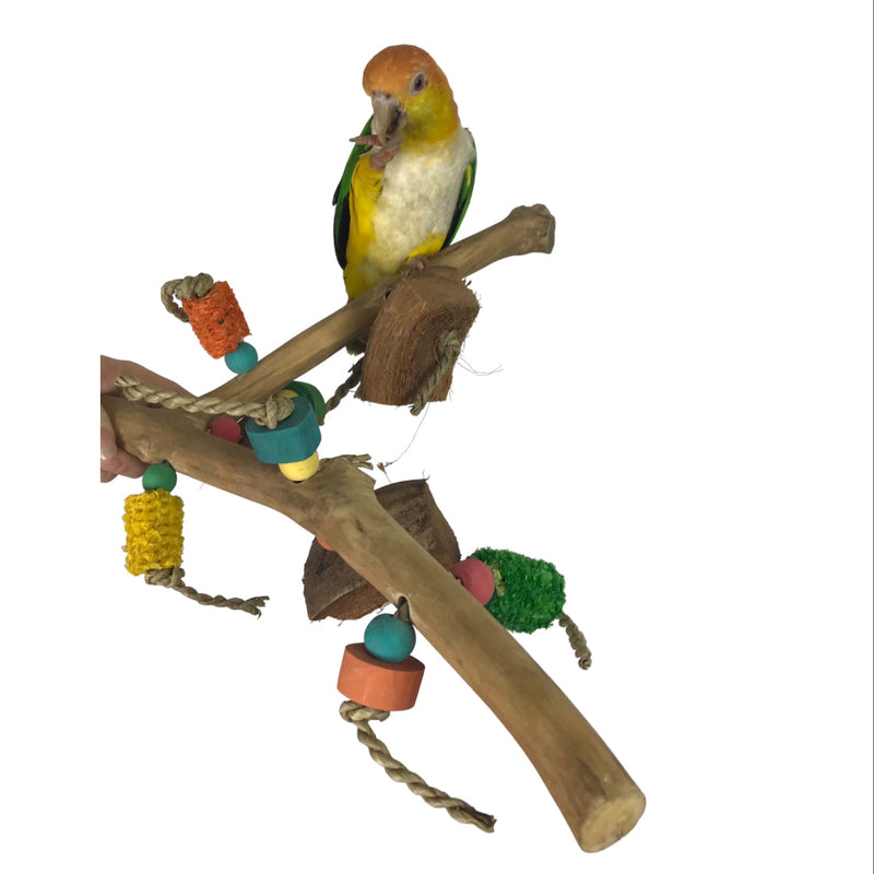 Ninos Java Multi Branch Perch with Toys for Birds Small