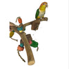Ninos Java Multi Branch Perch with Toys for Birds Small