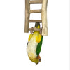 Ninos Java Natural Ladder for Birds Large-Habitat Pet Supplies