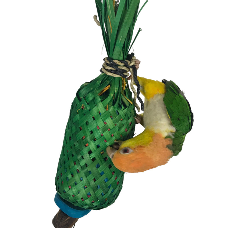 Ninos Java Pineapple foraging Toy for Birds Large