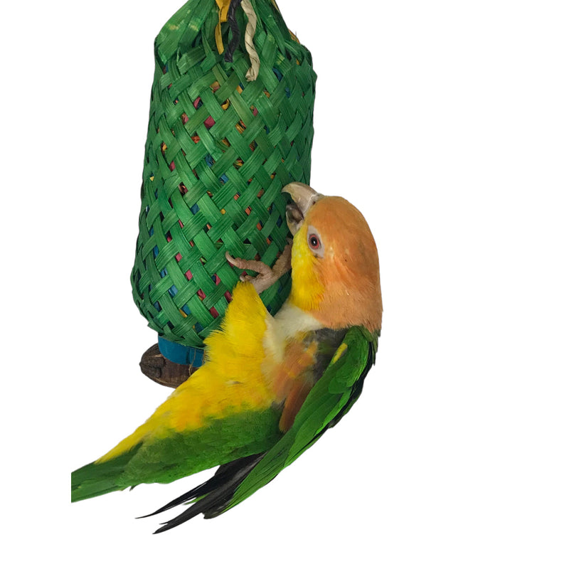 Ninos Java Pineapple foraging Toy for Birds Large