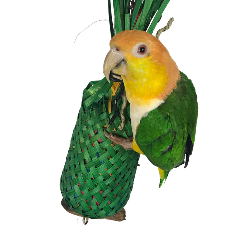 Ninos Java Pineapple foraging Toy for Birds Large