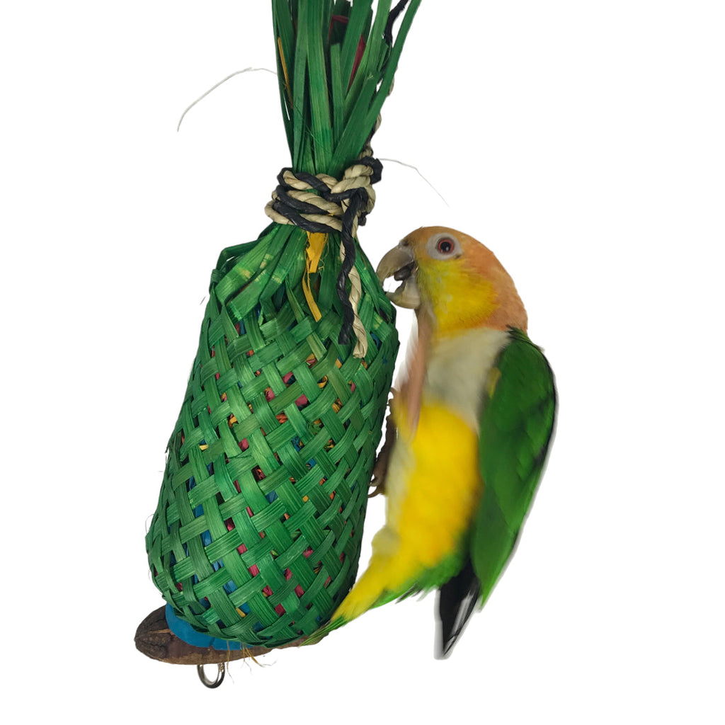 Ninos Java Pineapple foraging Toy for Birds Large-Habitat Pet Supplies